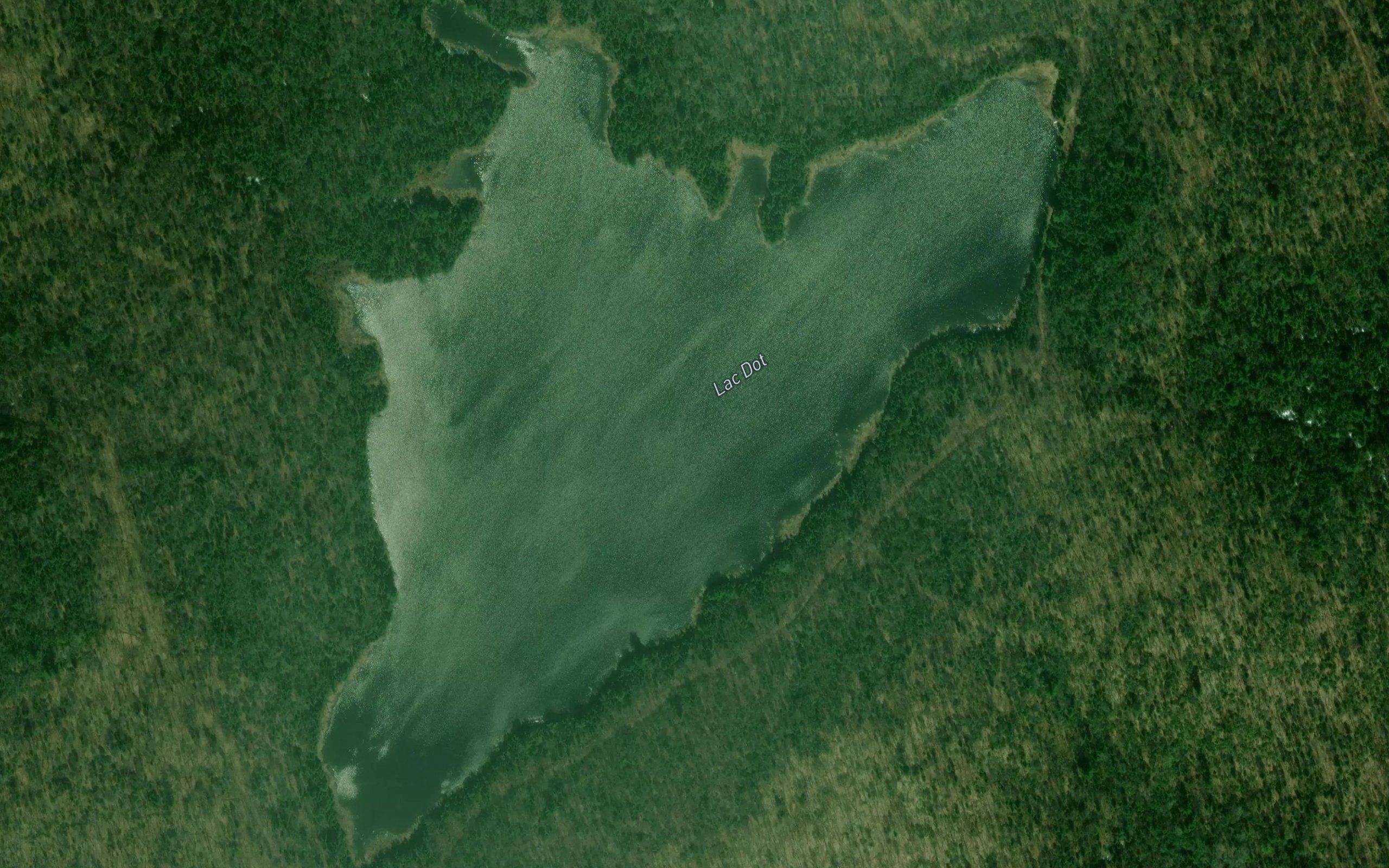 Lac Dot