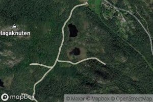 Breidviksstemmen,sore