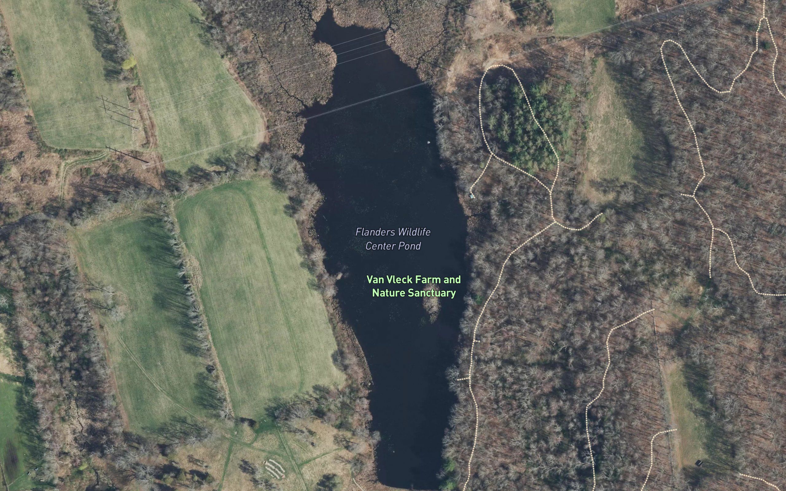 Flanders Wildlife Pond