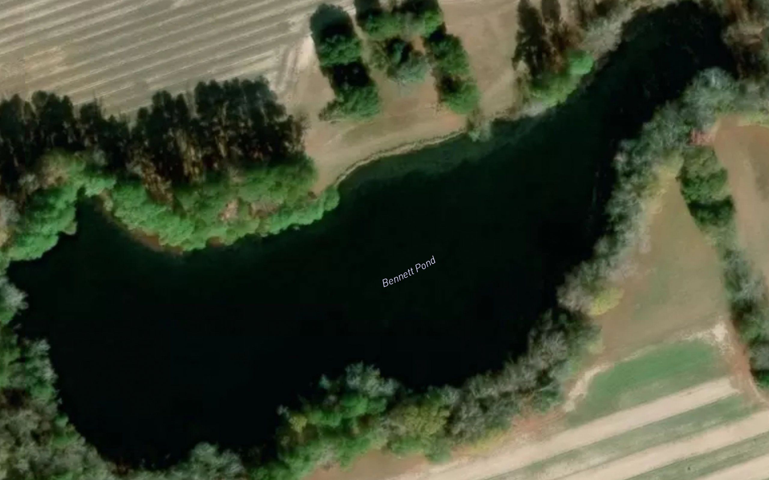 Bennett Pond