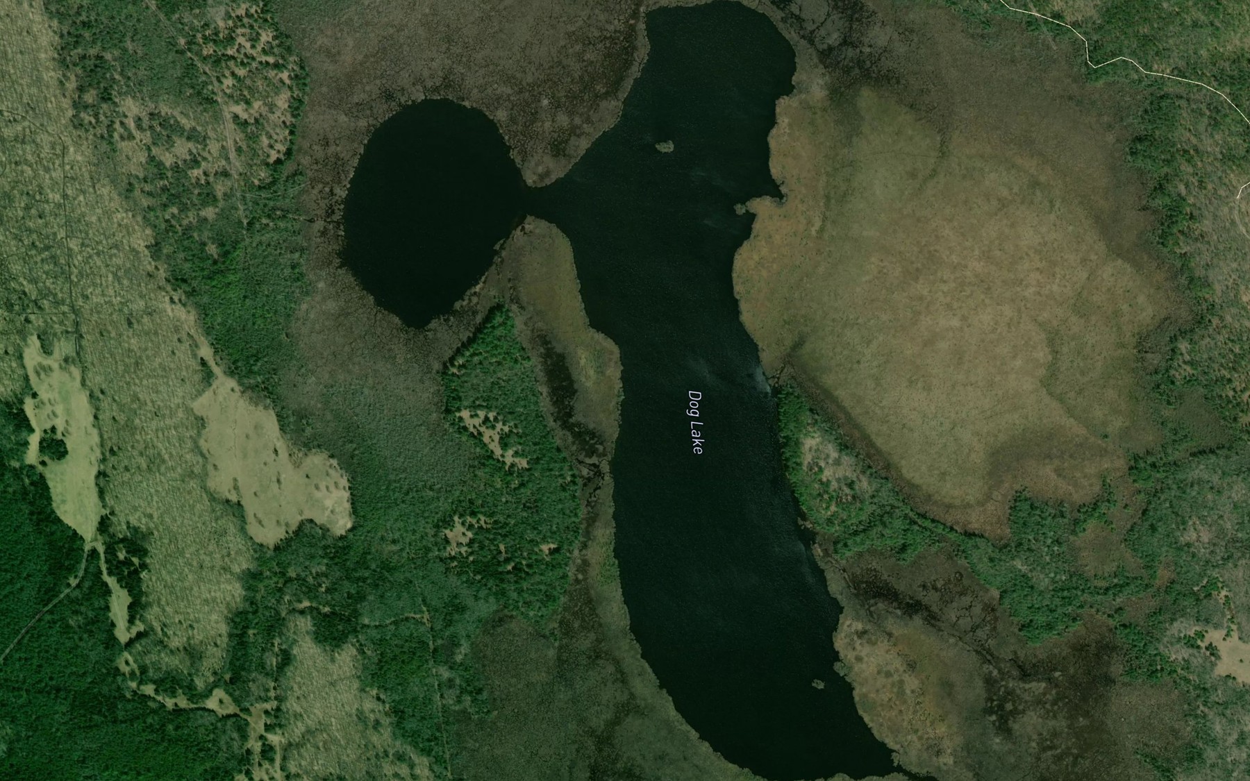 Satellite map of the Dog Lake
