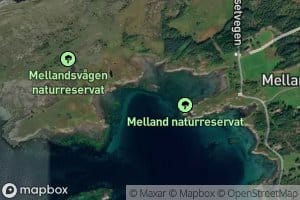 Mellandsvagen