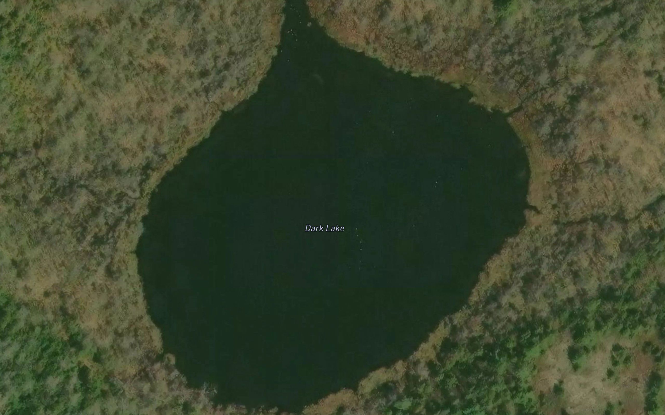 Dark Lake