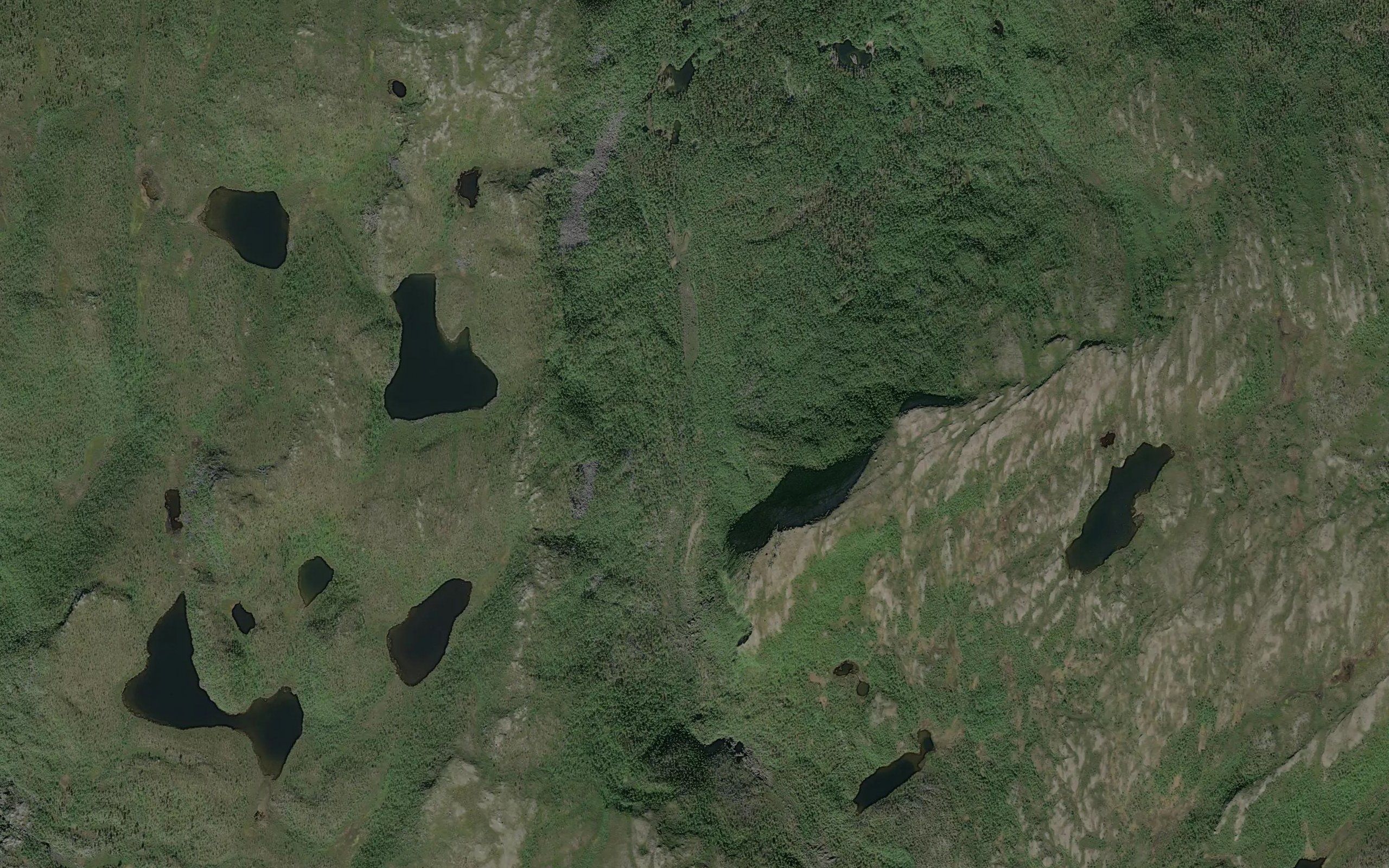 Avnejakka