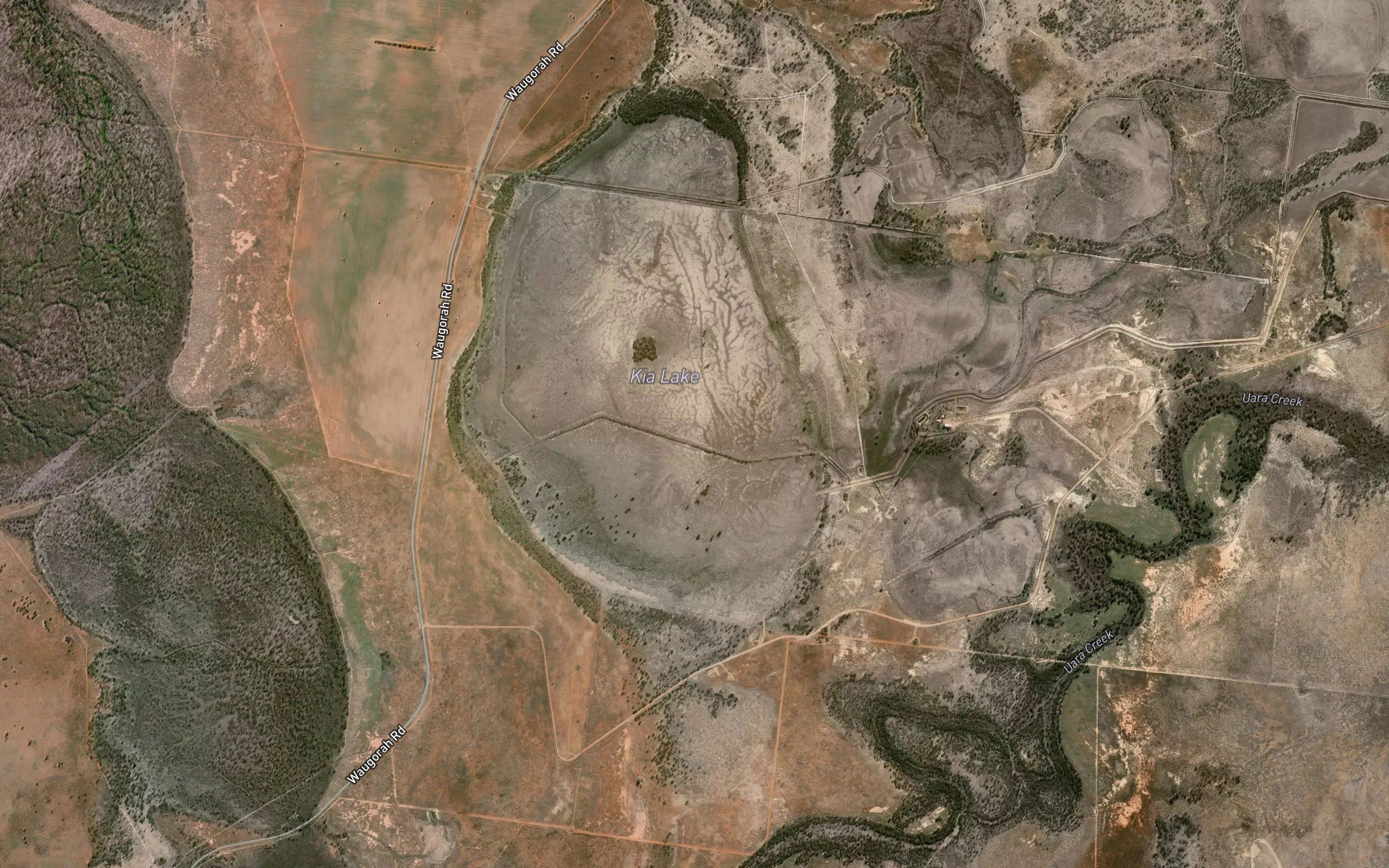 Kia Swamp