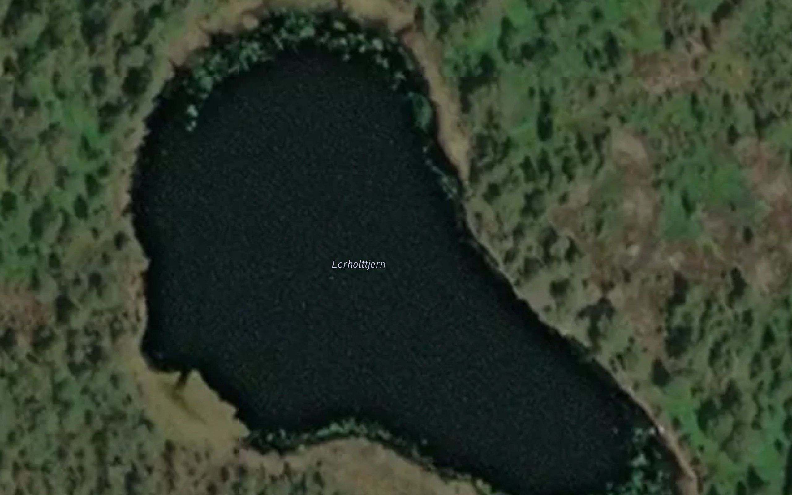 Lerholttjern