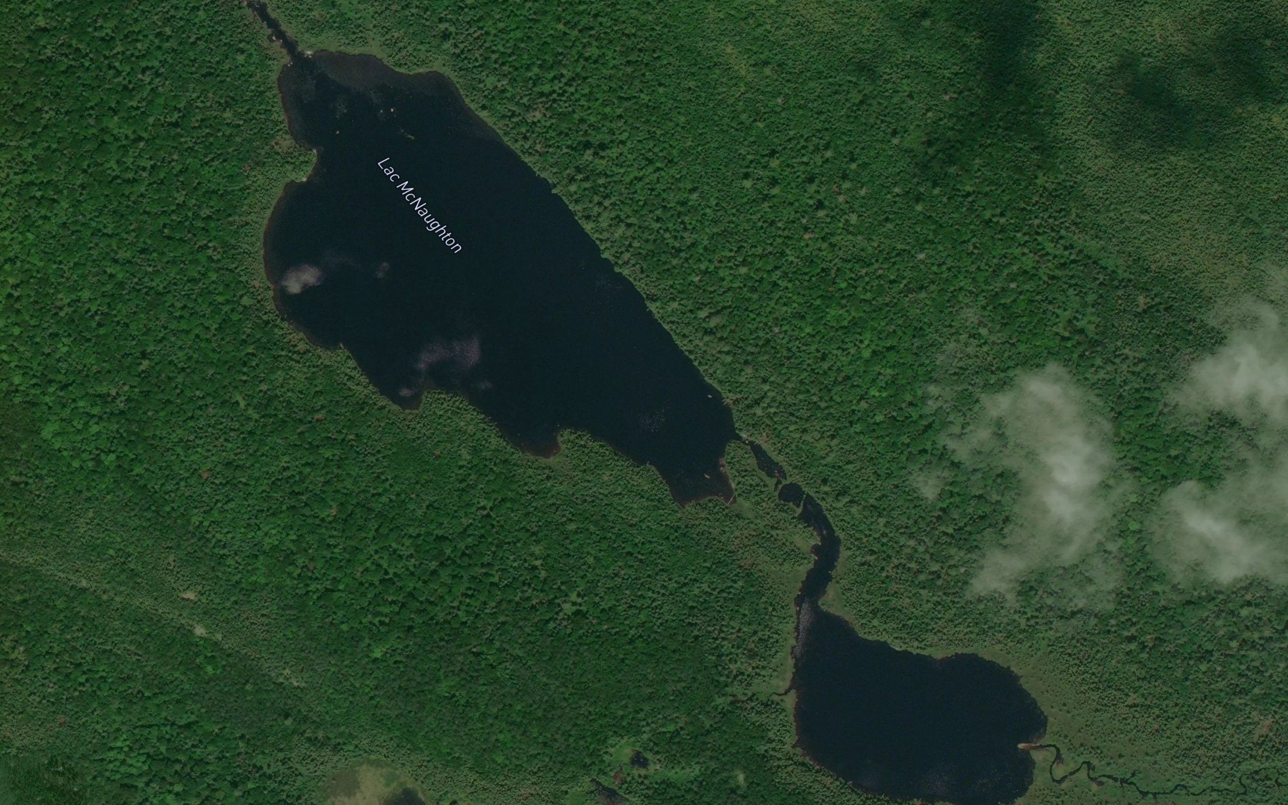 Lac McNaughton