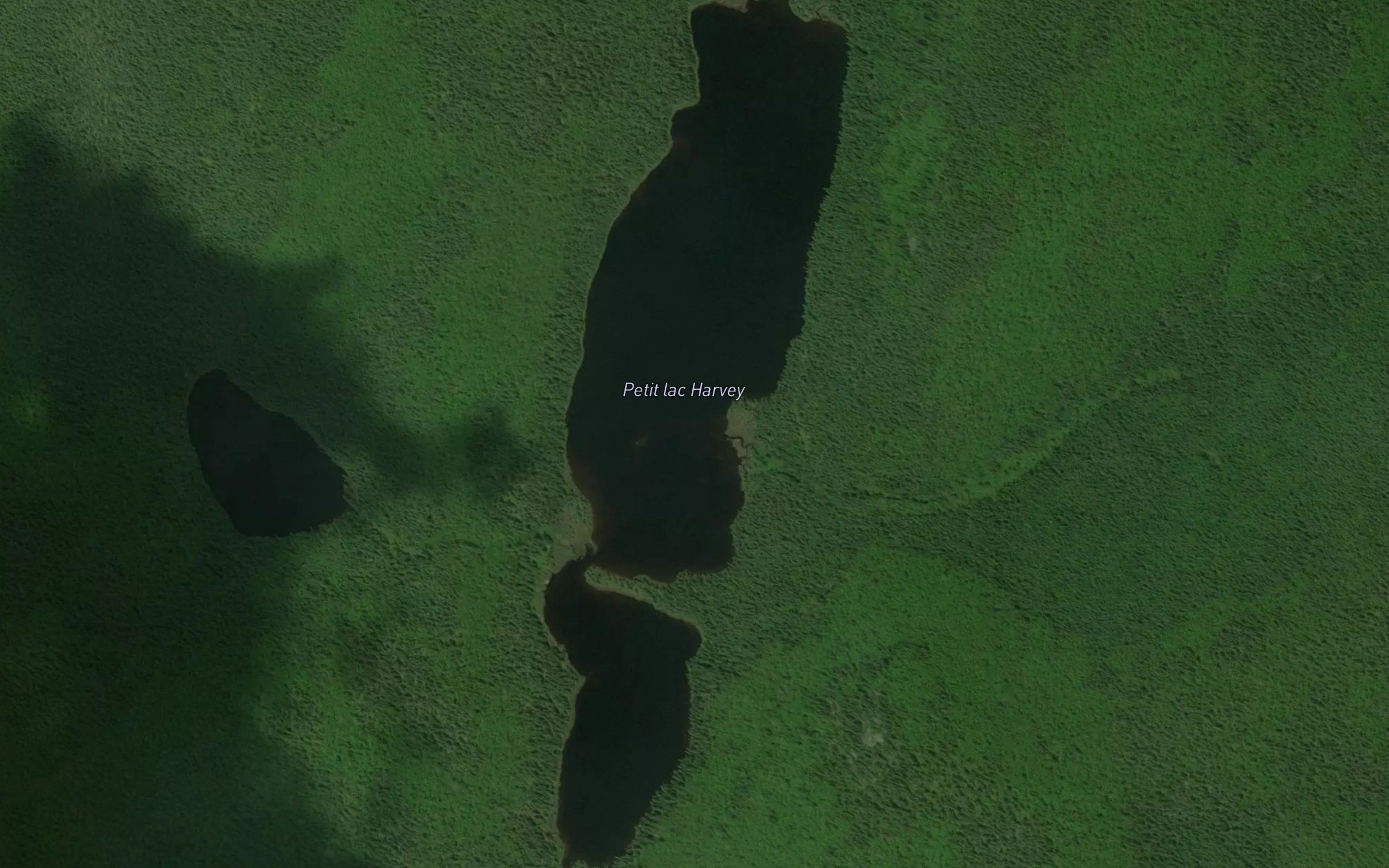 Petit lac Harvey