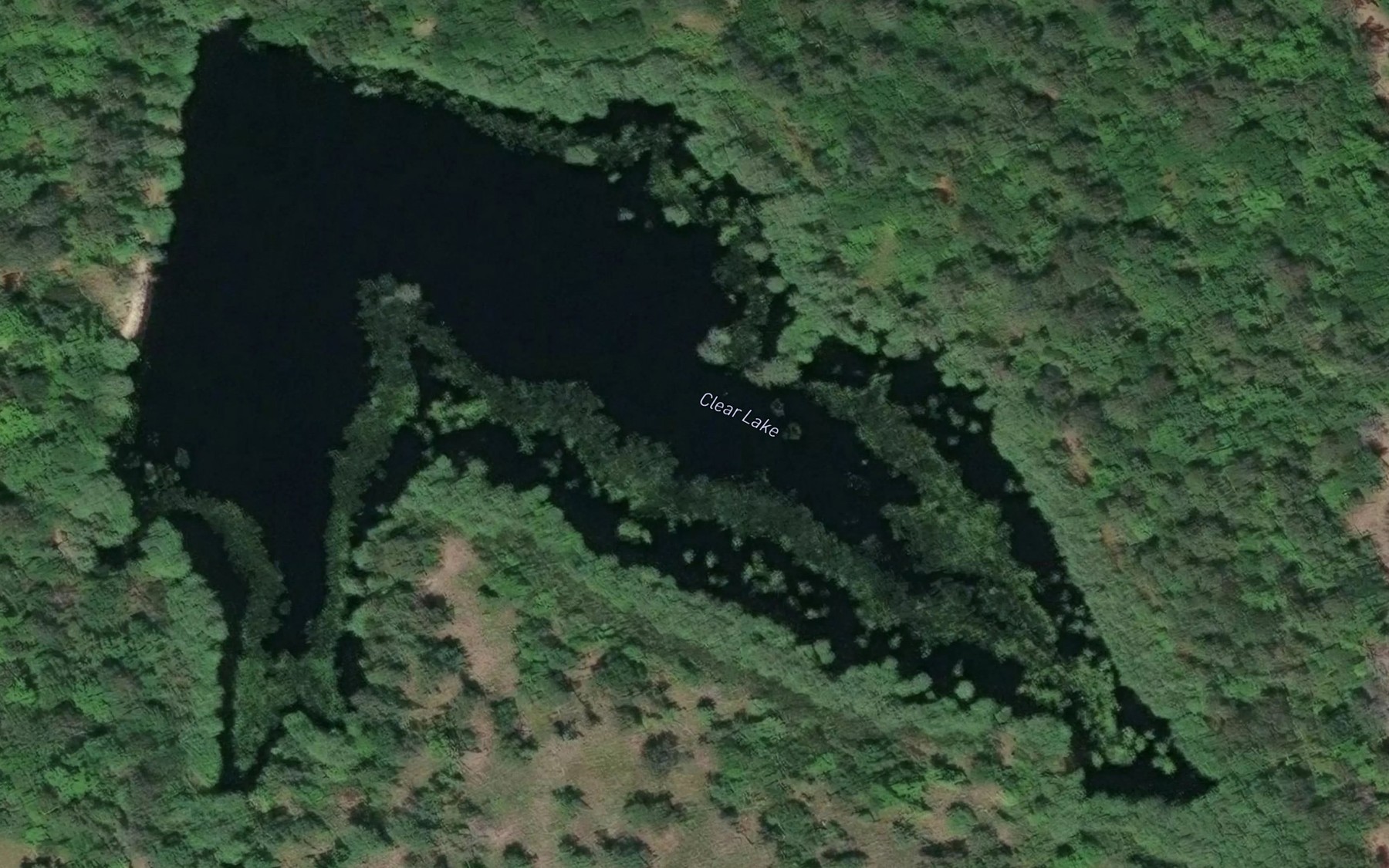 Satellite map of the Clear Lake