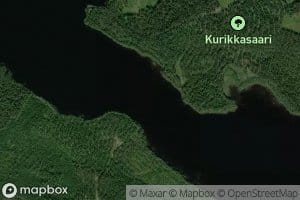 Verkkosalmi