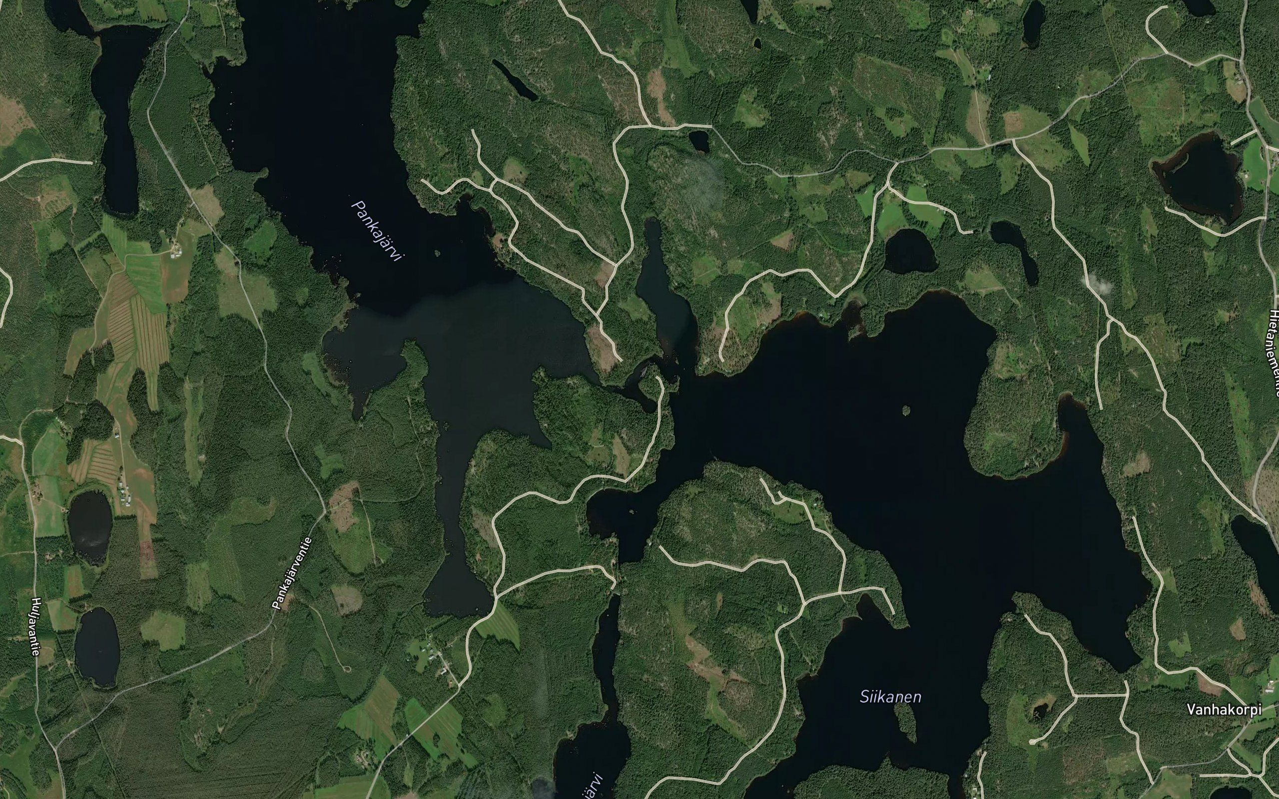 Vedenjakaimenlampi