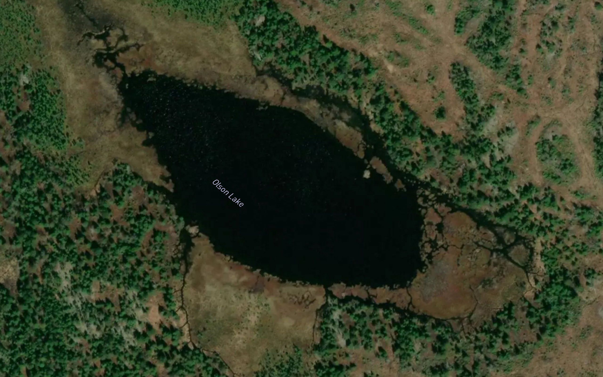 Olson Lake