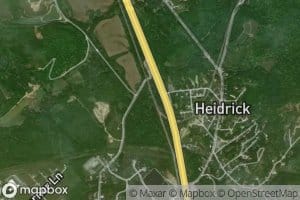 Scratch Ankle Branch