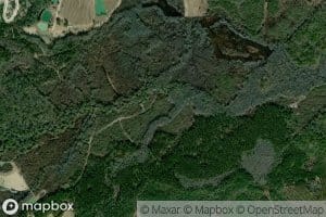 Reedy Creek