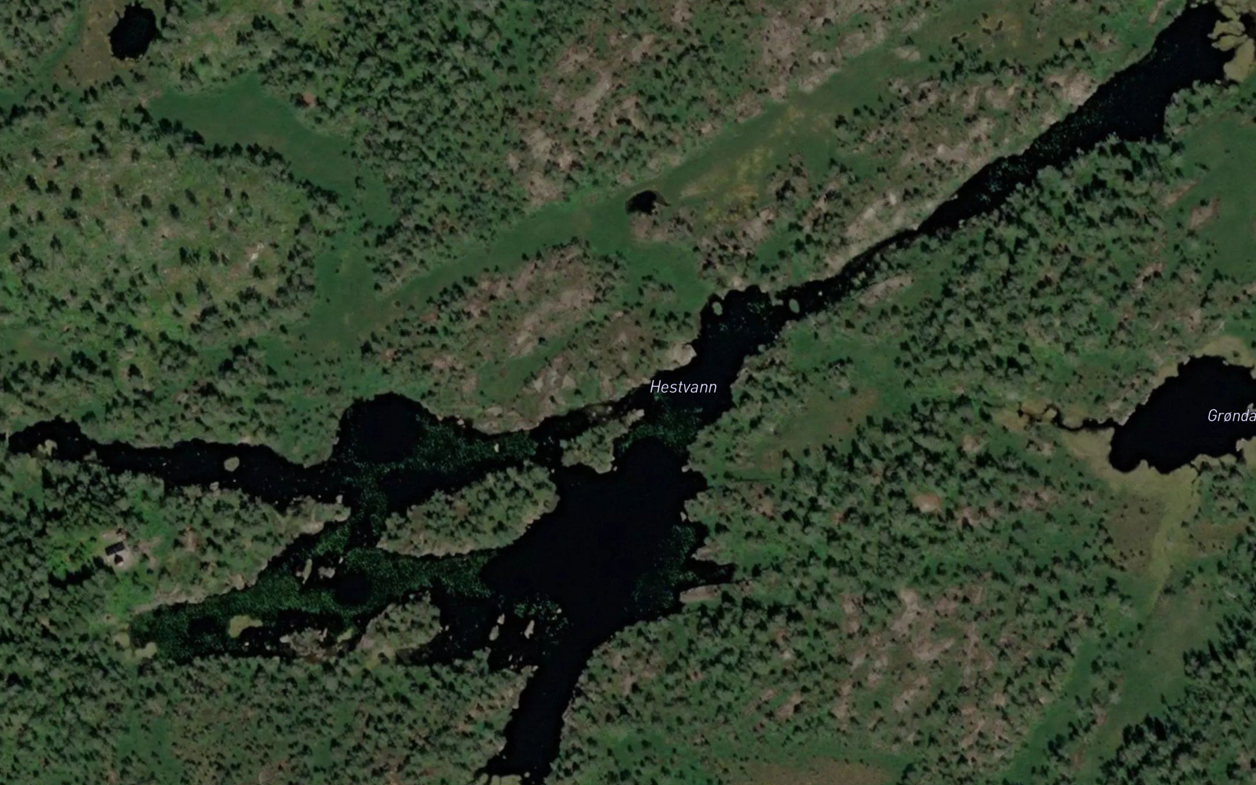 Hestvann