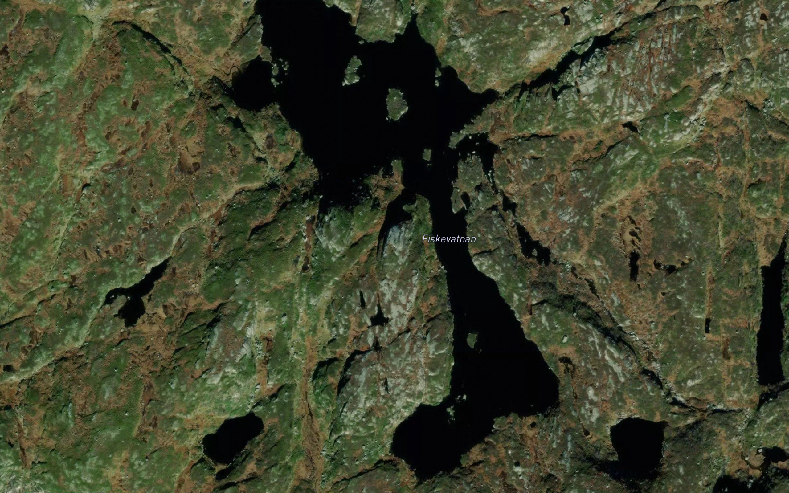 Fiskevotnan