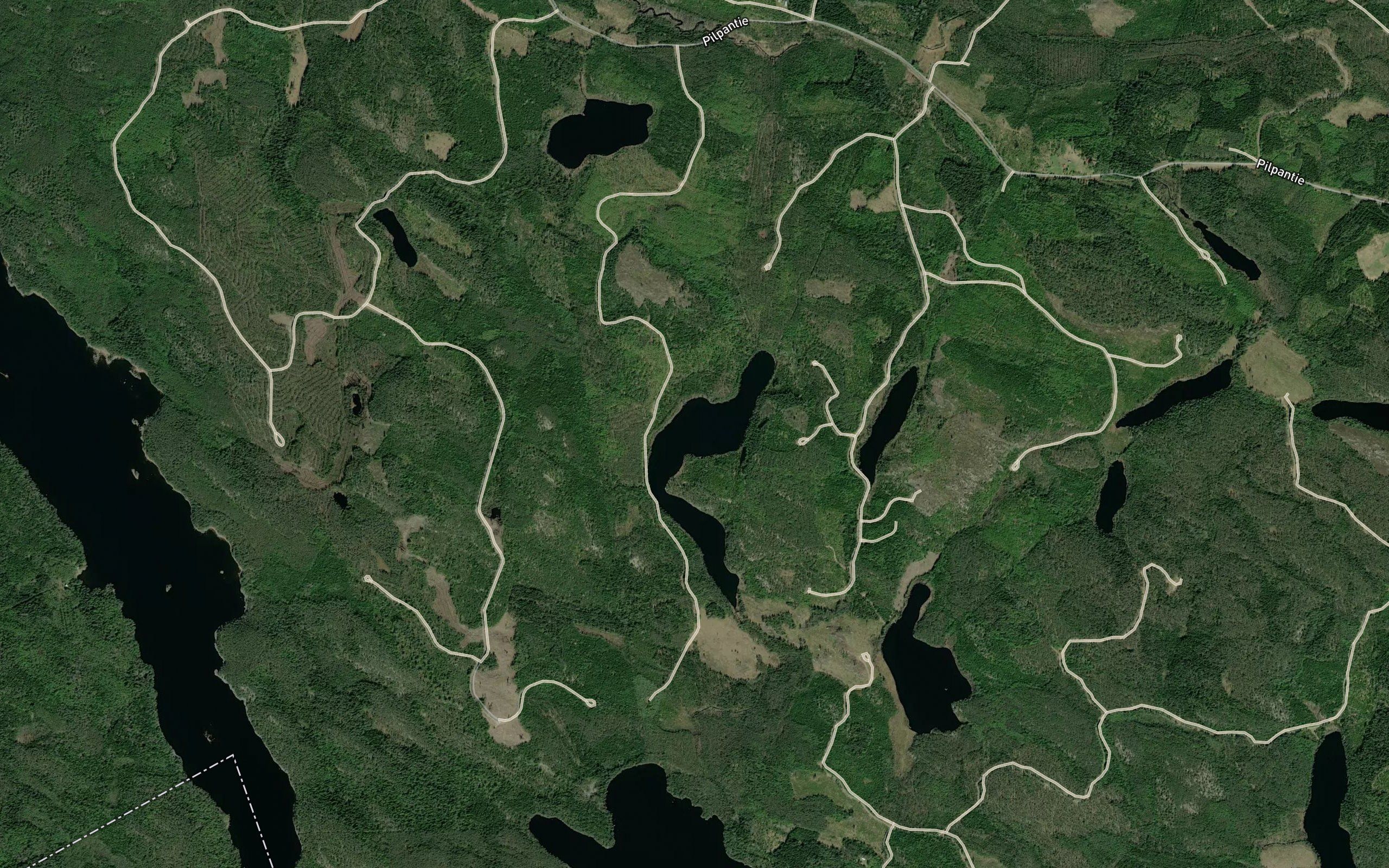 Paljakka