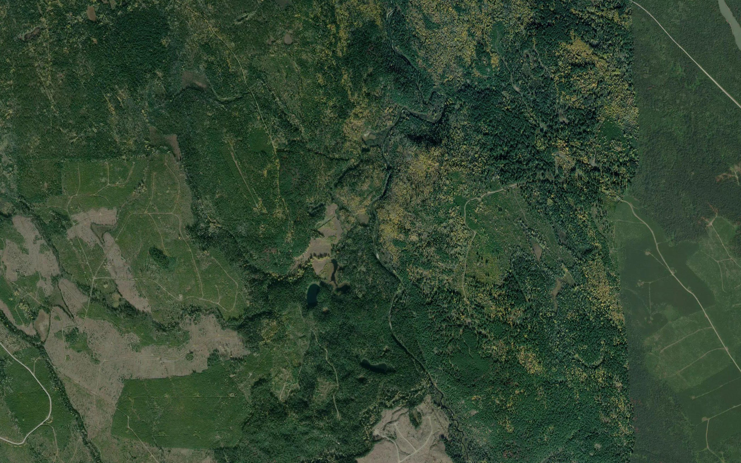 Bowden Creek