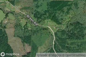 Patton Creek