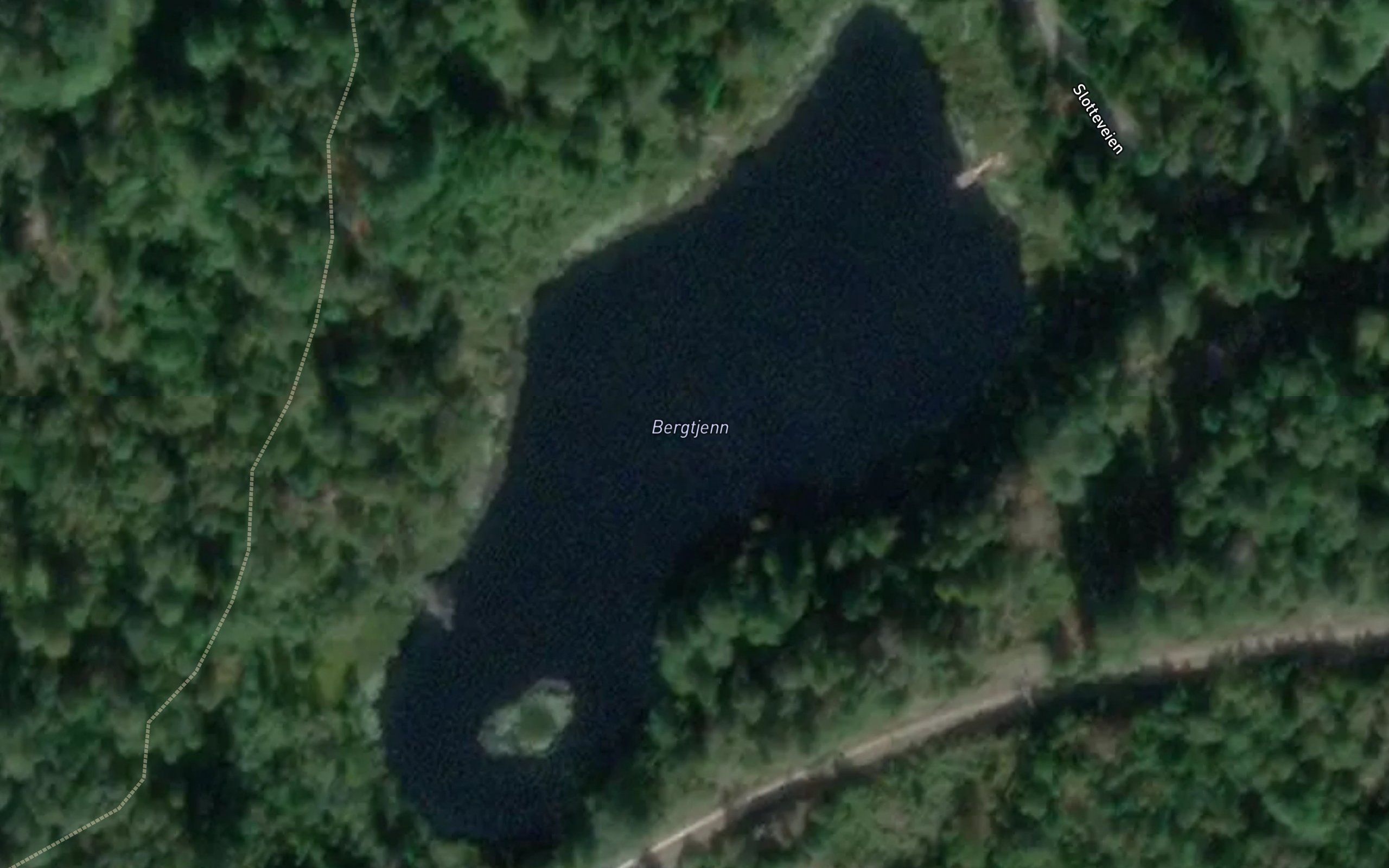 Bergtjenn