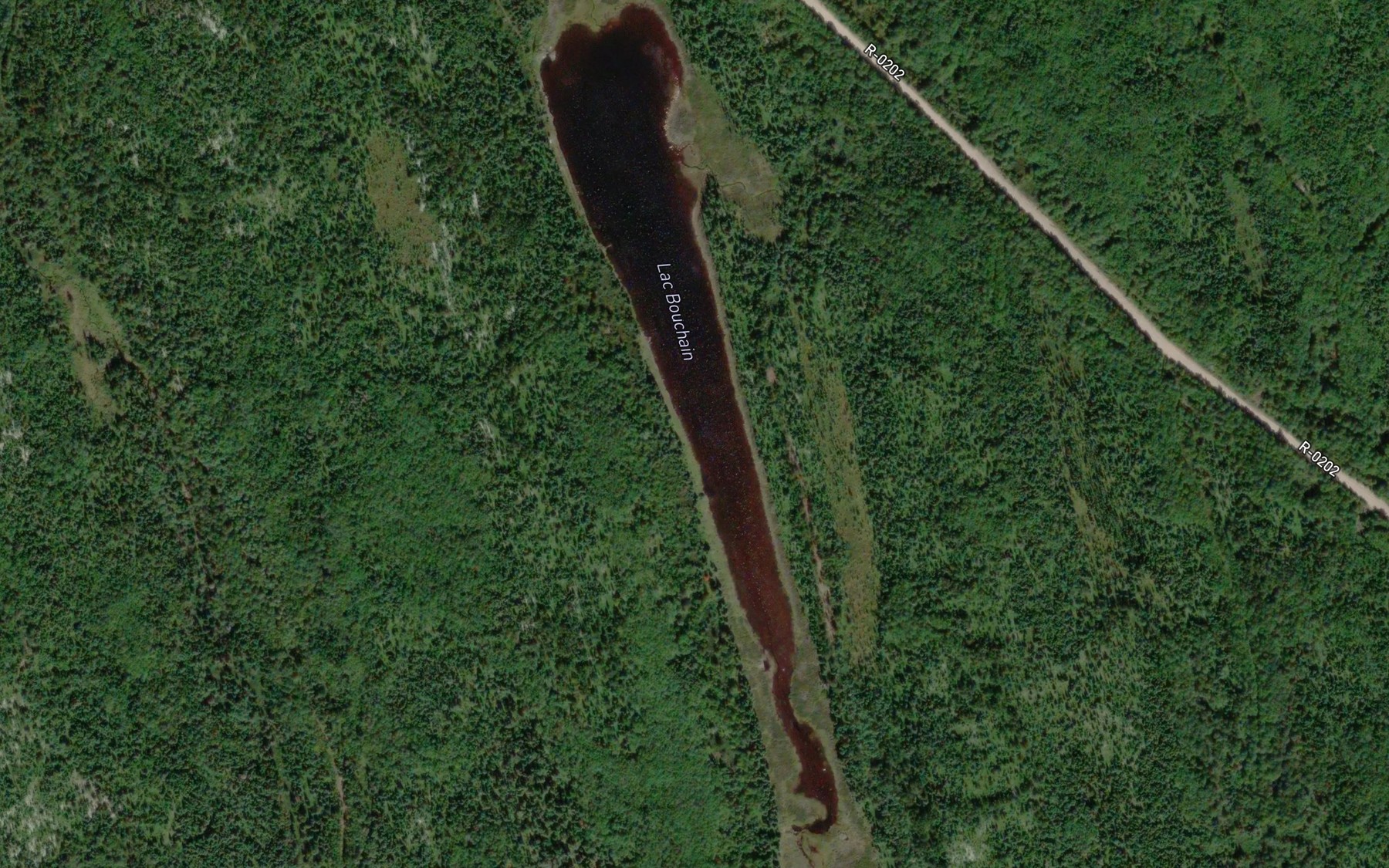 Satellite map of the Lac Bouchain