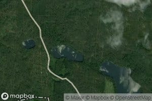 Ezeras Vienavalksnis