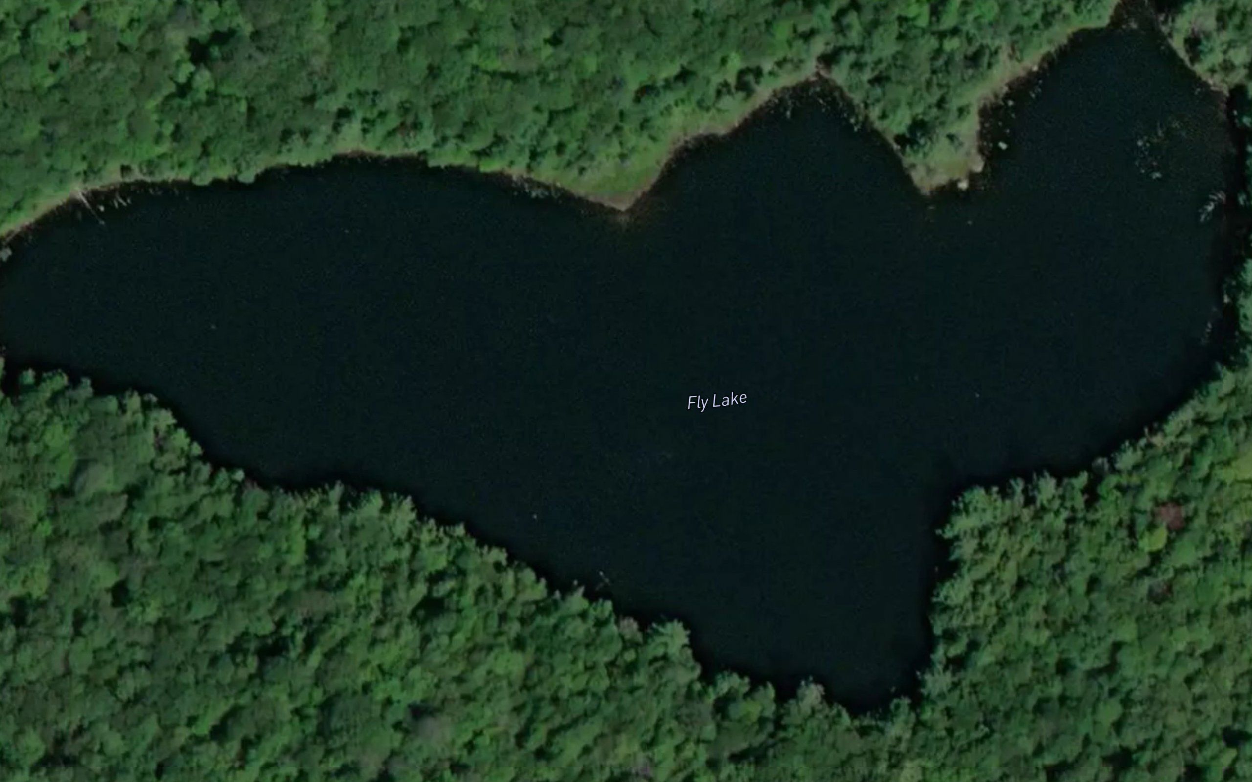 Fly Lake