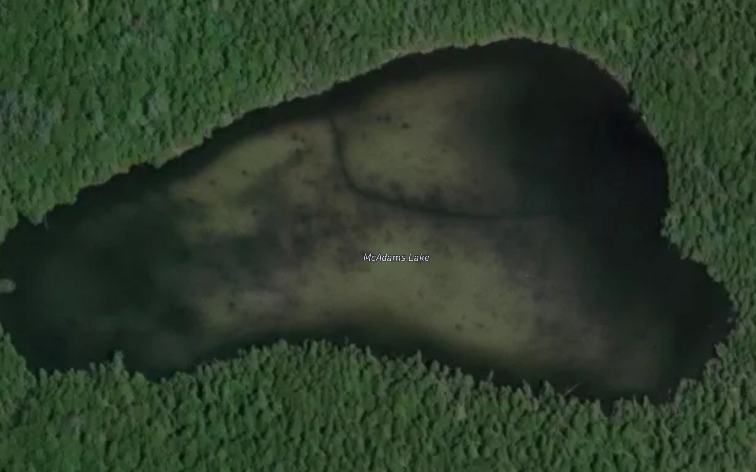 McAdams Lake