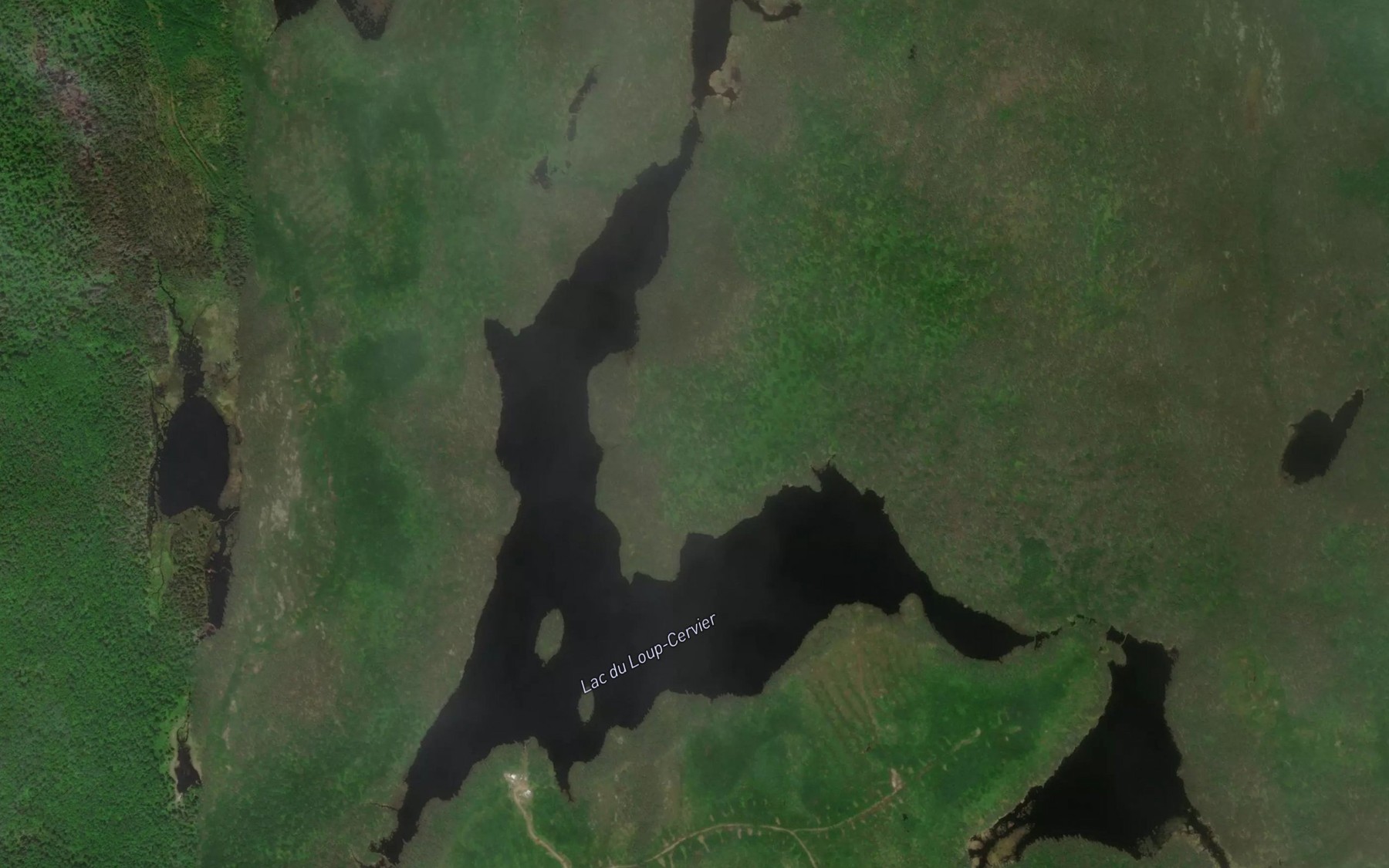 Satellite map of the Lac du Loup-Cervier