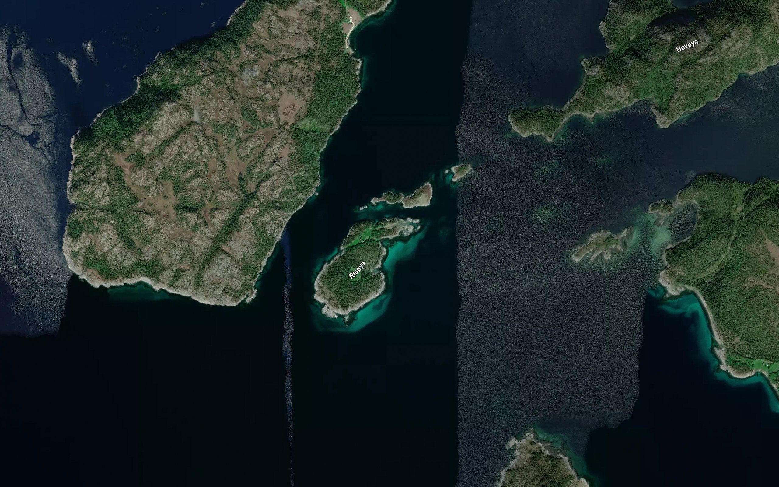 Dalagervika