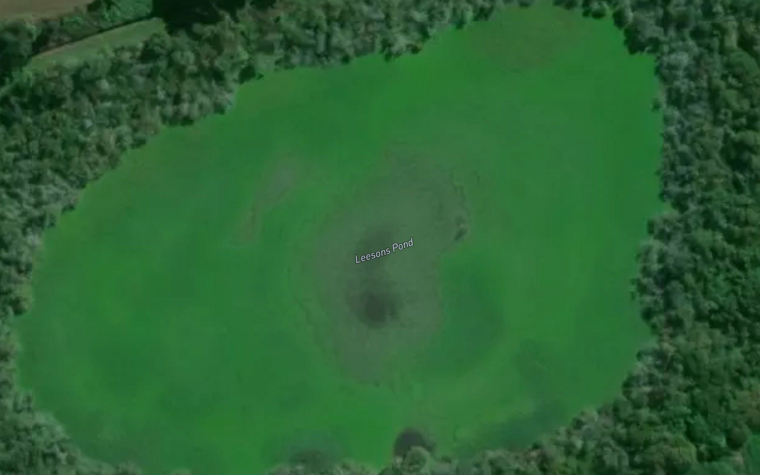 Leesons Pond