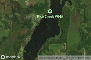 Rice Lake