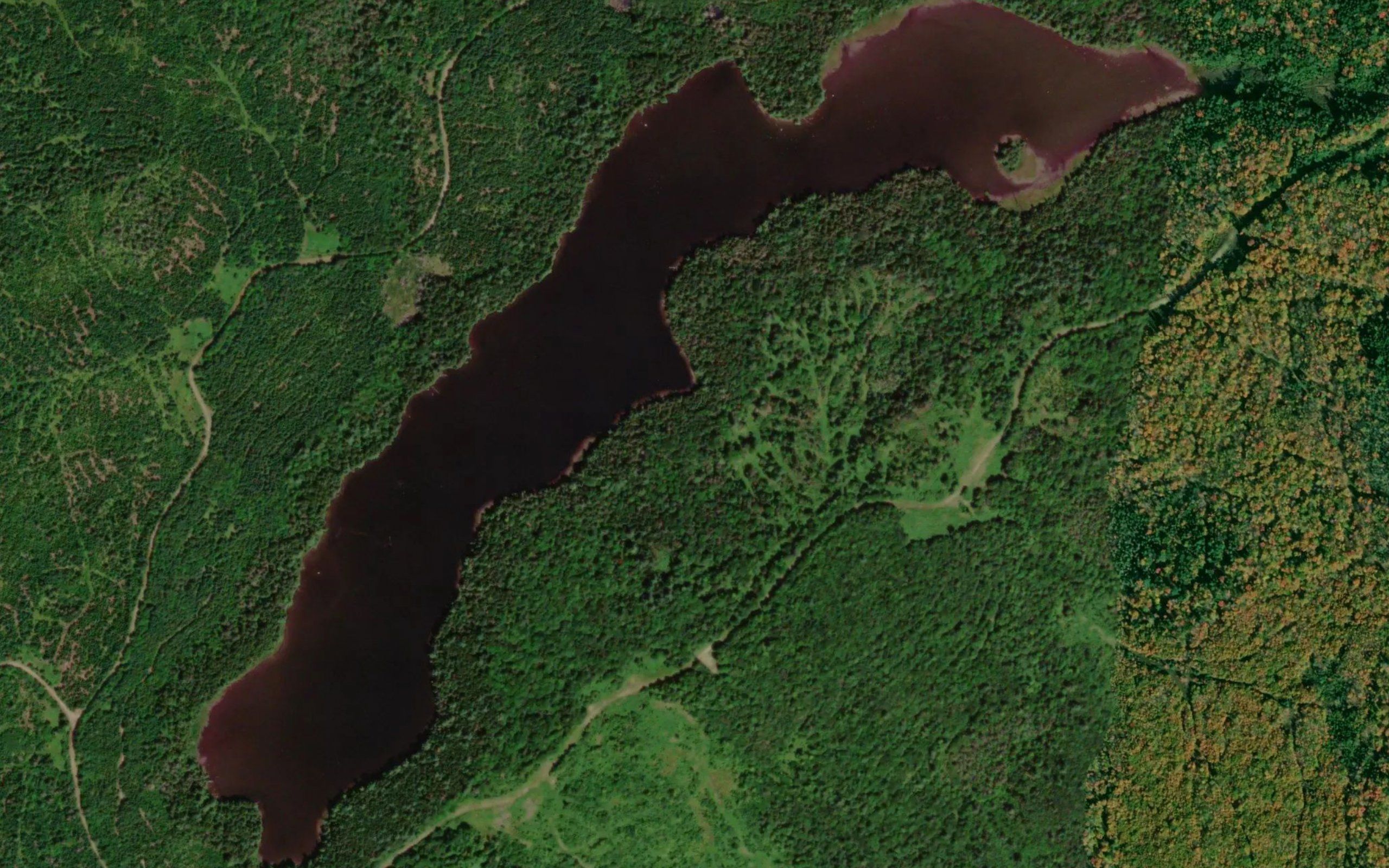 Parker Pond