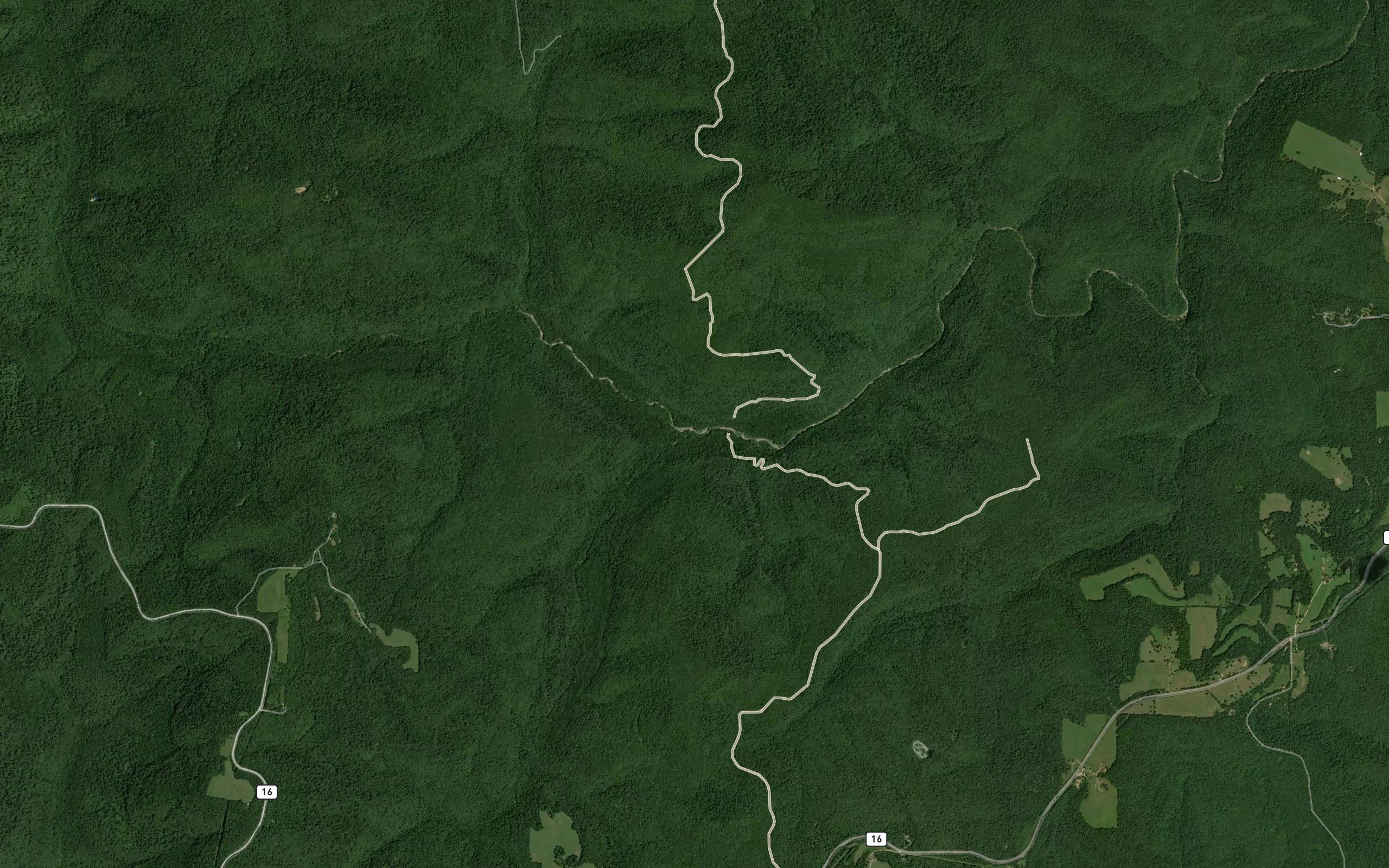 Main Prong Big Buffalo Creek