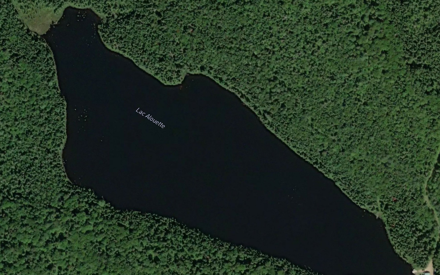 Satellite map of the Lac Alouette