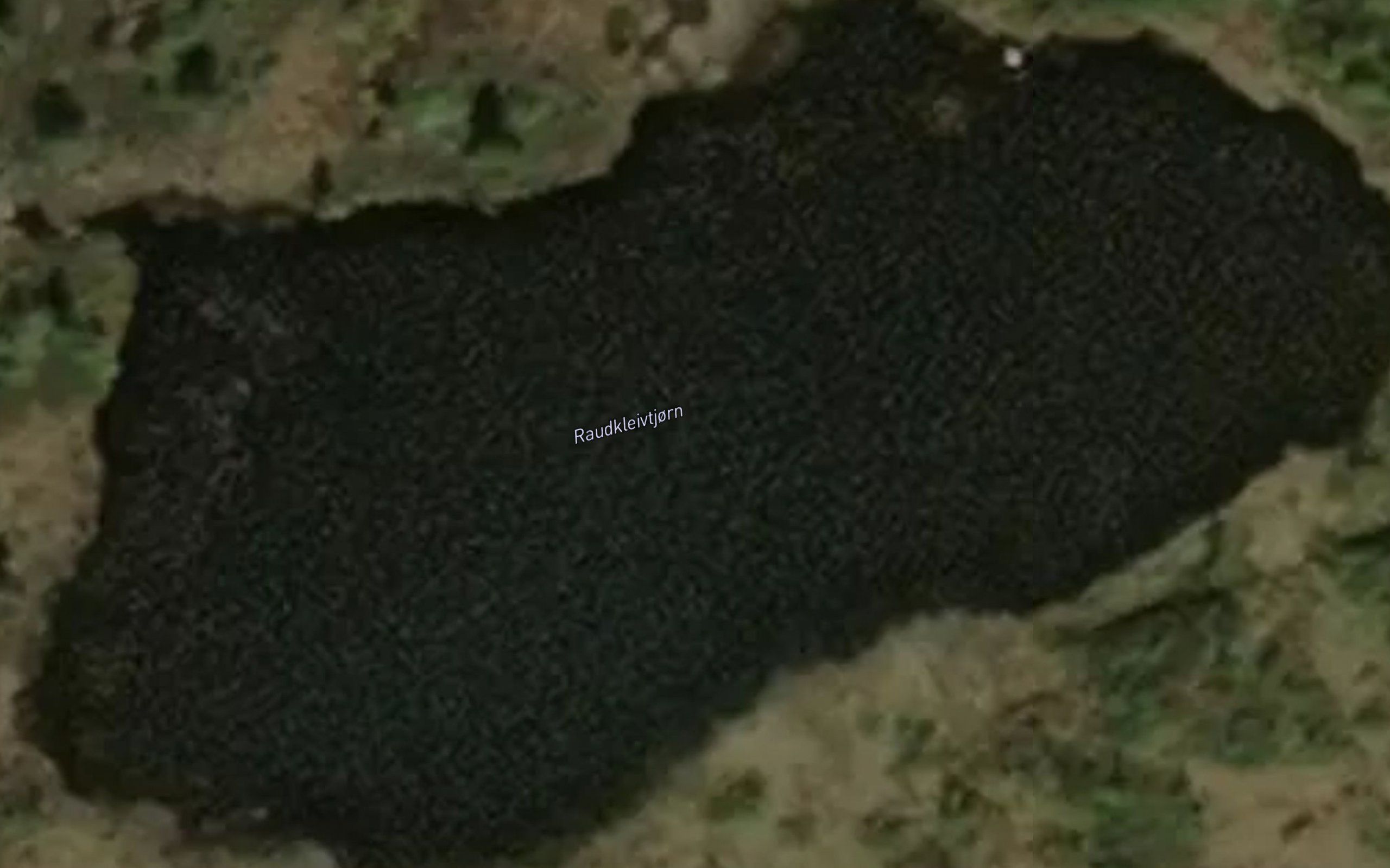 Raudkleivtjorn