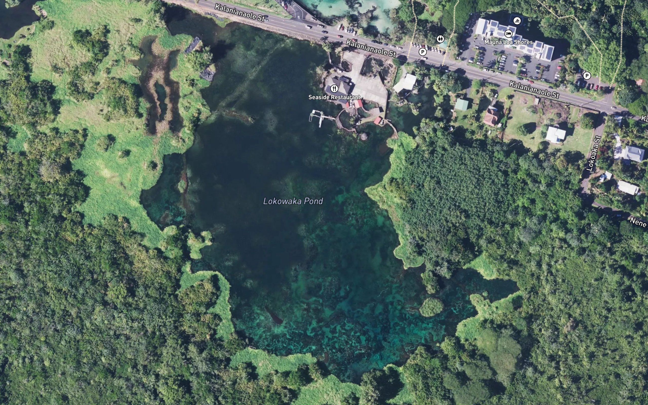 Lokowaka Pond