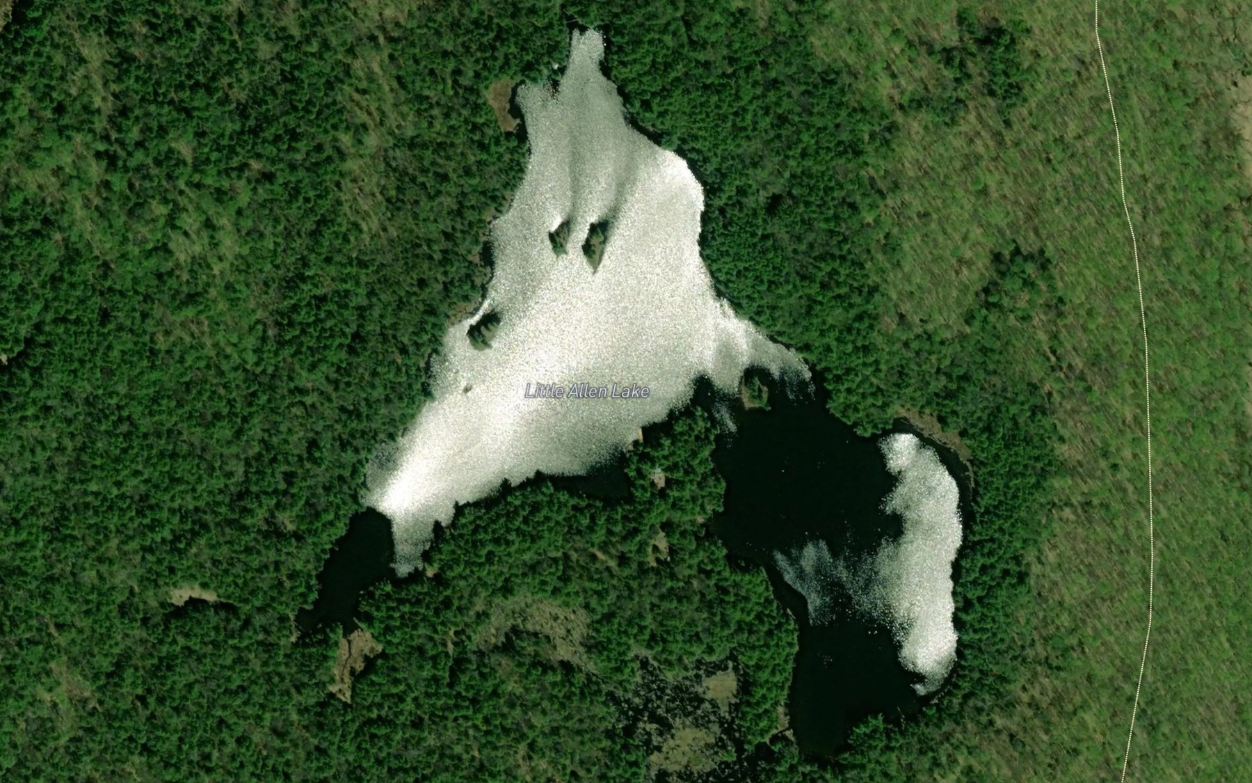 Satellite map of the Little Allen Lake