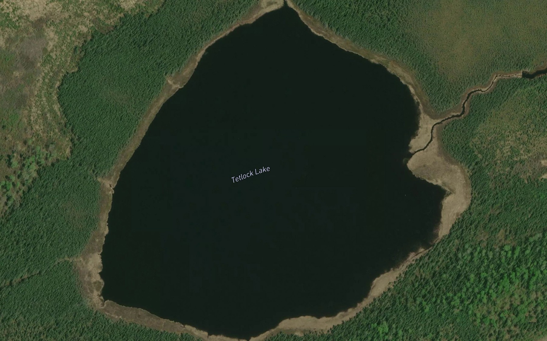 Satellite map of the Tetlock Lake
