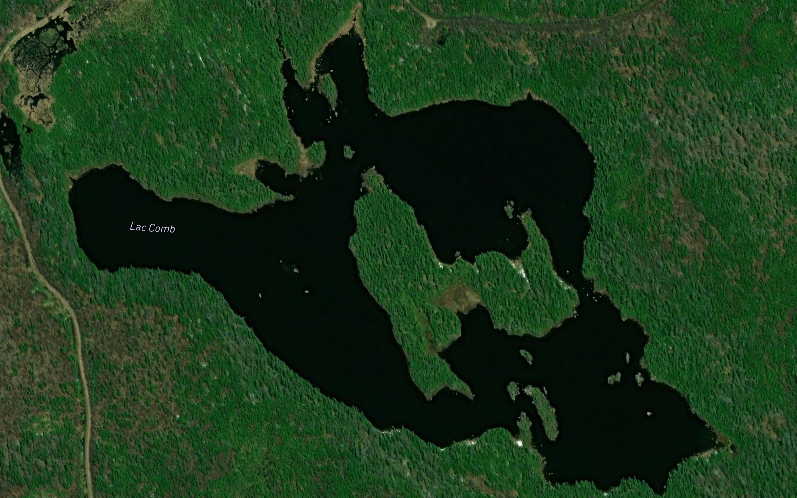 Lac Comb