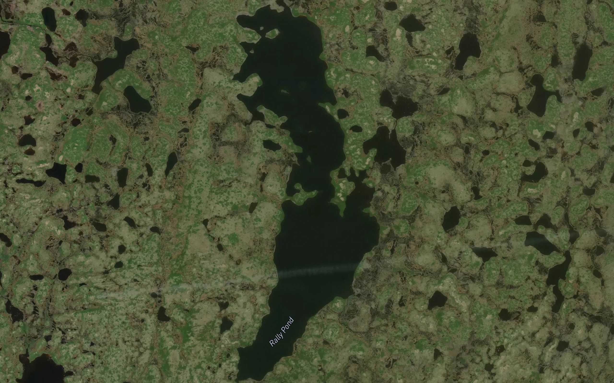 Rally Pond