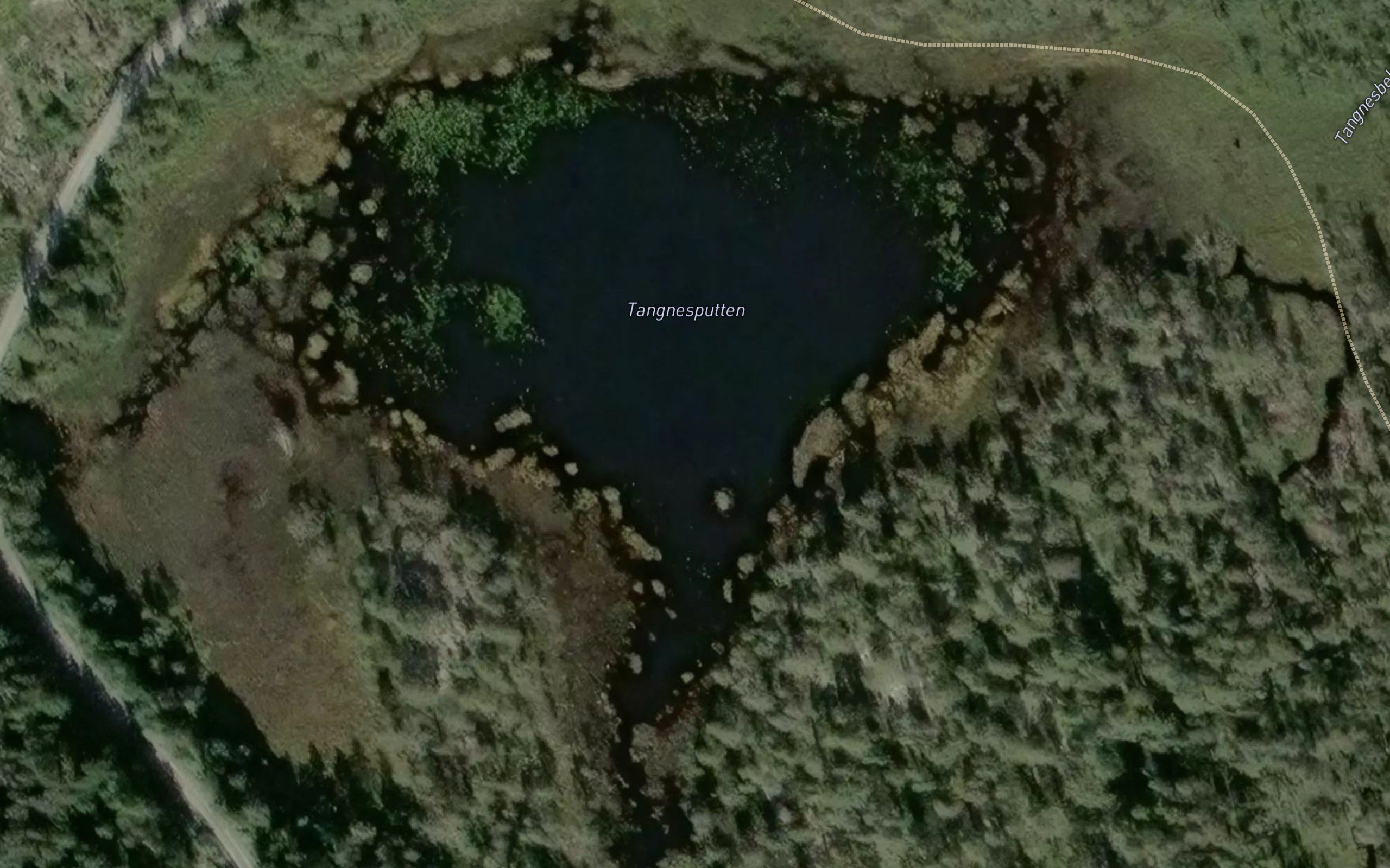 Tangnesputten