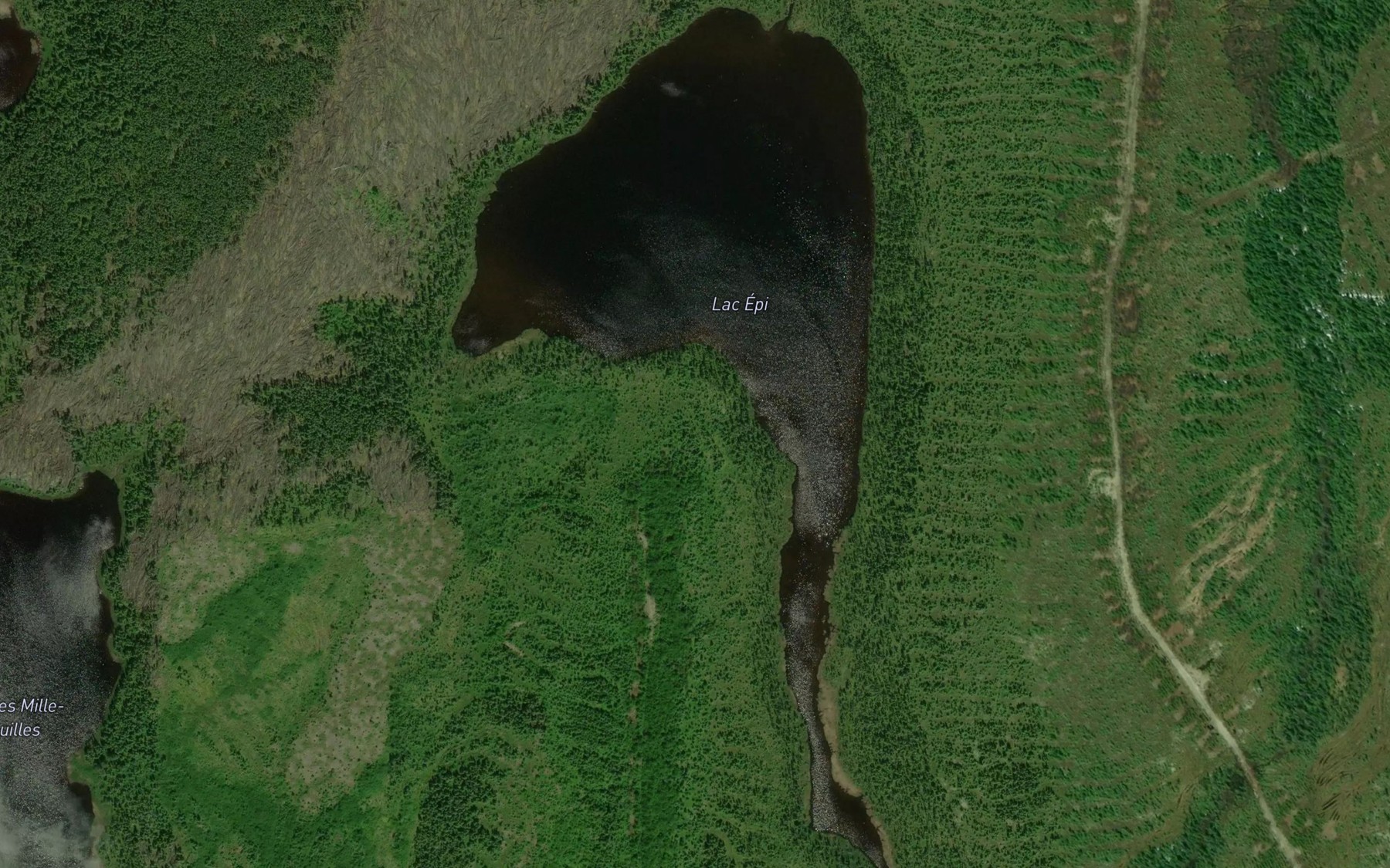 Satellite map of the Lac Epi
