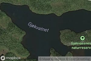 Gjokvatnet