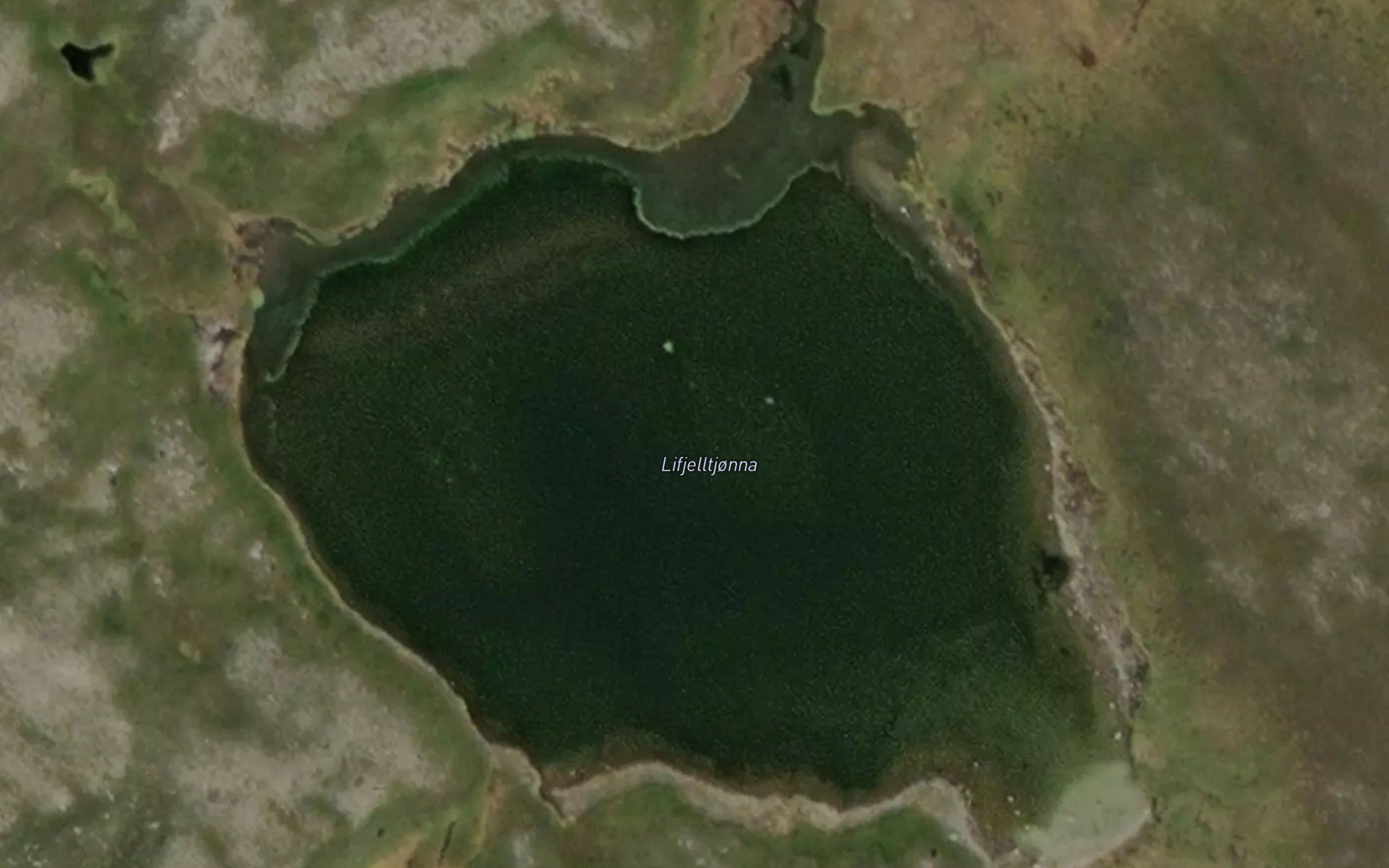 Lifjelltjonna