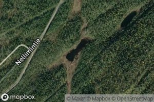 Kintaskurujarvi