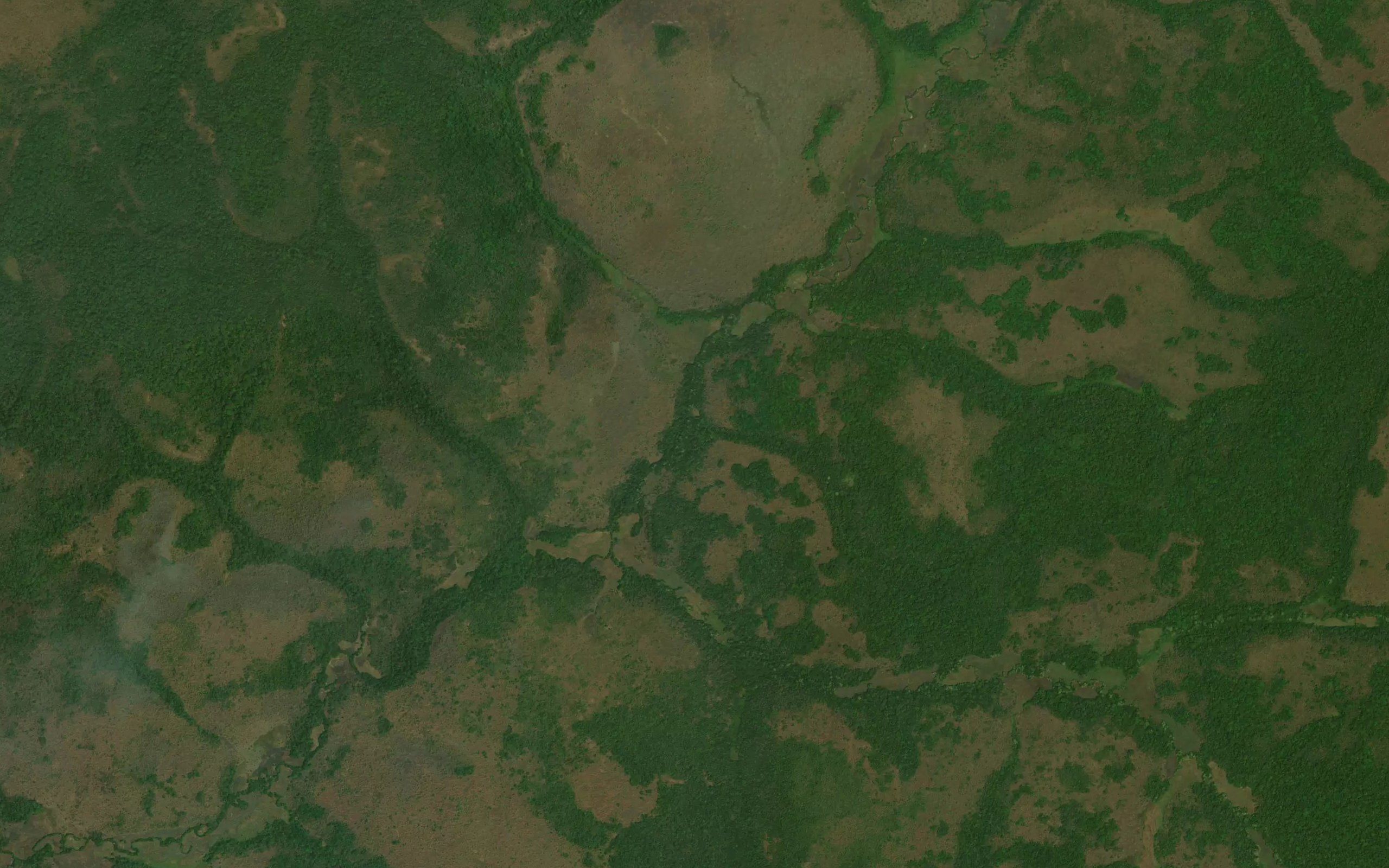 Nambio