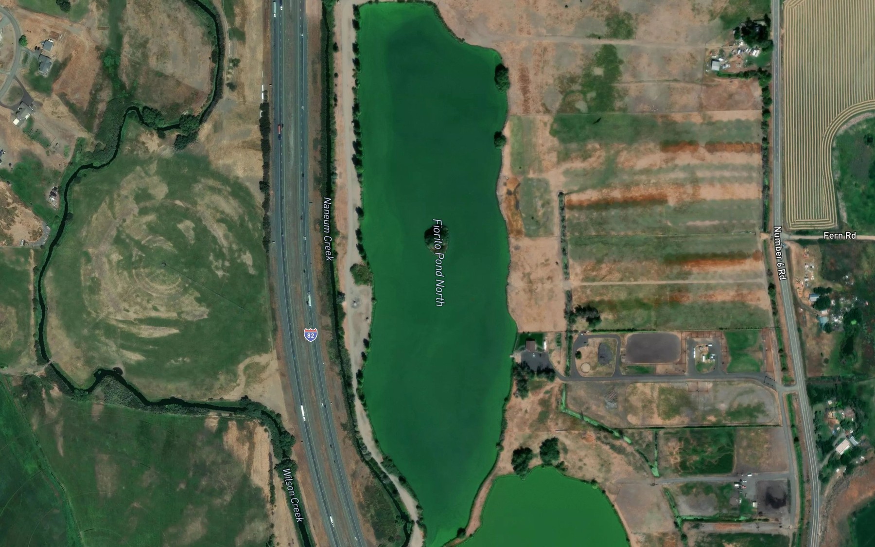 Satellite map of the Naneum Creek