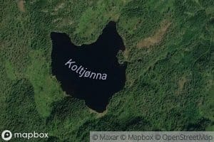 Koltjorna
