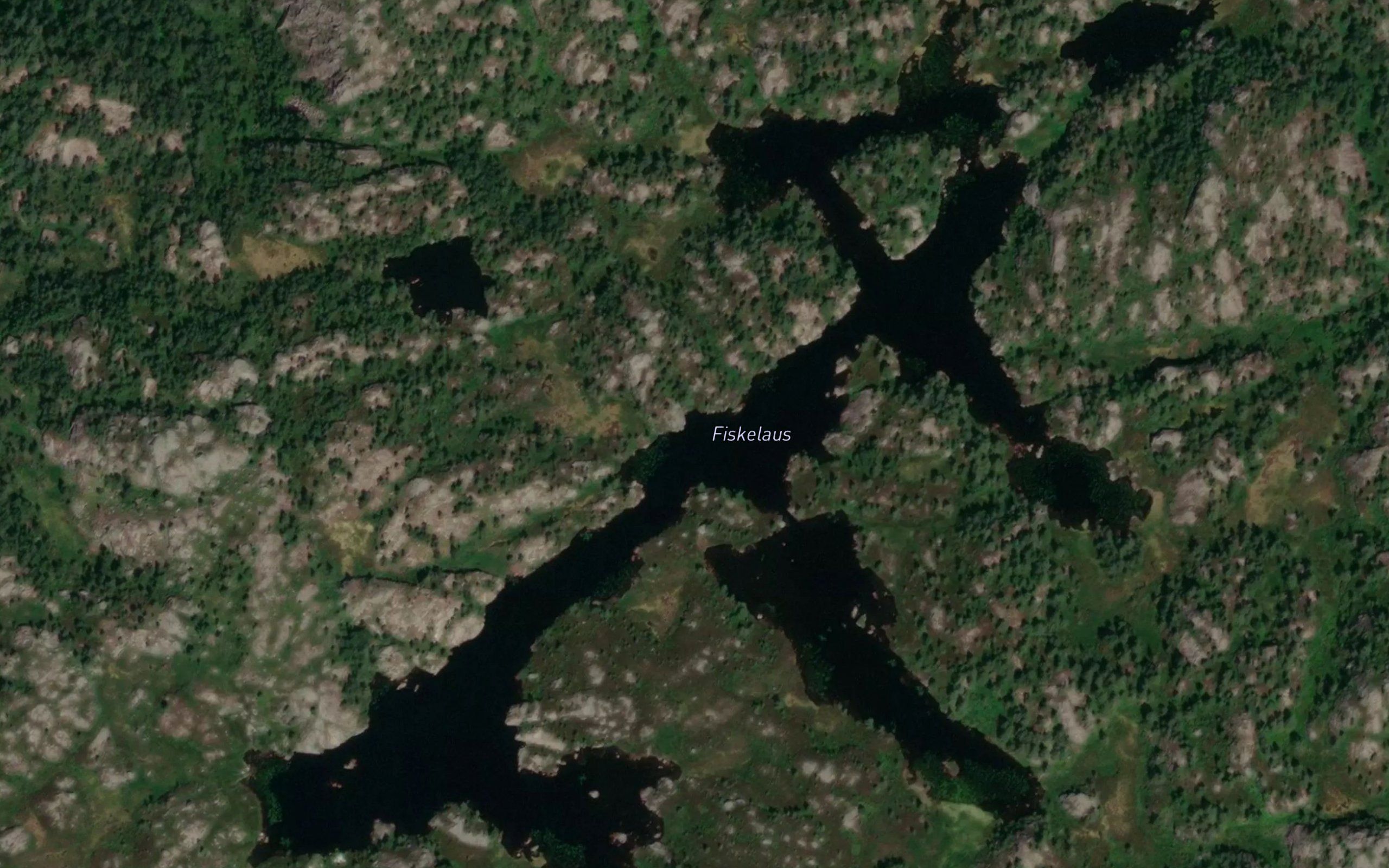 Fiskelaus